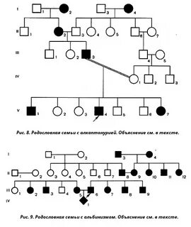 Первое поколение в родословной