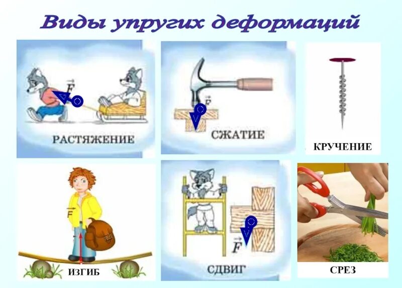 Примеры упругой деформации. Примеры упругой деформации