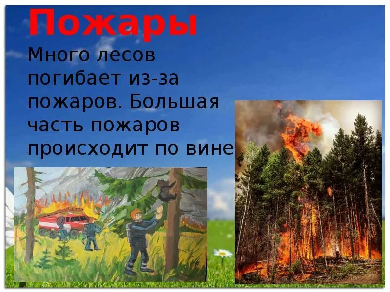 Почему так много пожаров. Пожар по вине человека. происходит наибольшее количество пожаров?. как наибольшее количество пожаров происходит. почему немалая часть пожаров происходит.