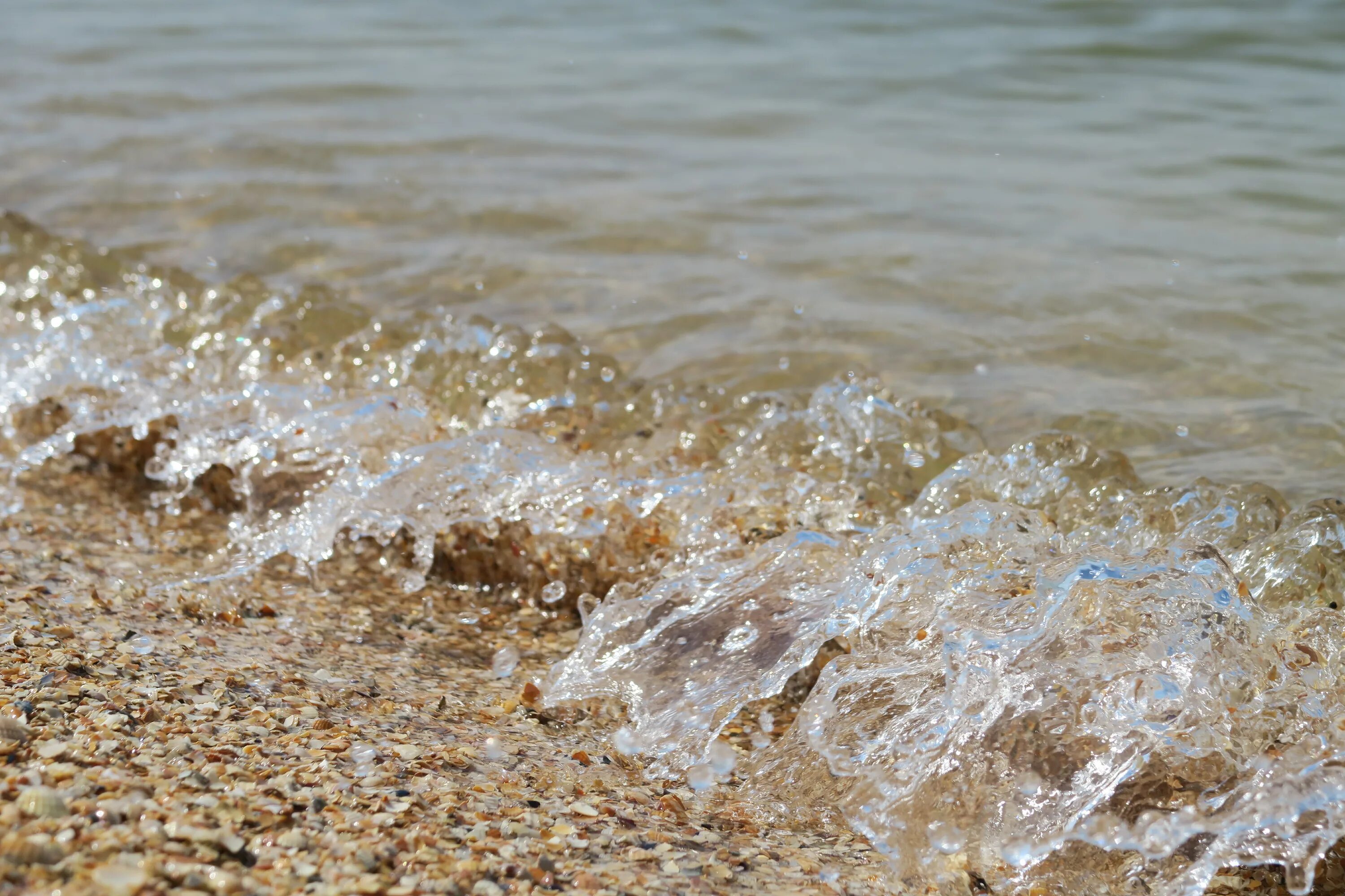 Азовское море. Азовское море вода. Азовское море цвет воды. Состояние Азовского моря. Вода азовская 1