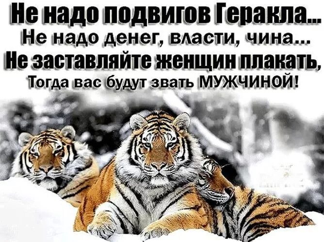 Нам необходимы подвиги нам нужен. Не надо подвигов Геракла не надо денег власти чина. Не нужно подвигов Геракла не надо денег власти чина. Ни в дождь ни в гололед ни. Ни в дождь ни в гололед ни в слякоть какая б ни стряслась беда.