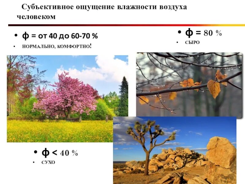 Каким становится воздух осенью. Влажность воздуха в природе. Влажность воздуха картинки. Влажность воздуха рисунок. Изображение влажности в природе.