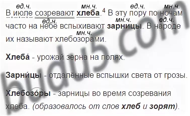 Разбор слова неба 3. В июле созревают хлеба разбор. Что обозначает слово Хлебозоры.