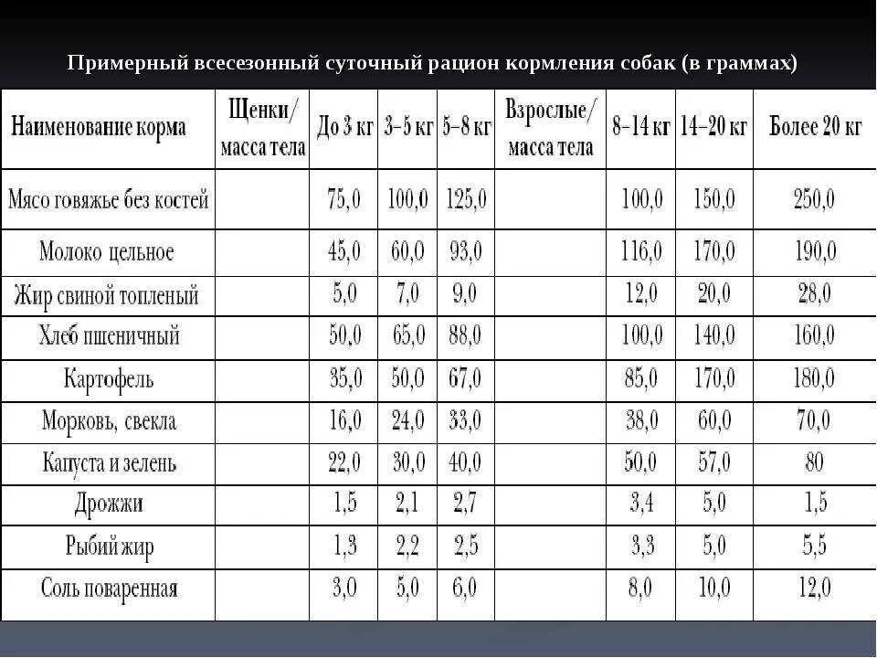 Сколько собаке давать мяса. Рацион кормления собак. Суточный рацион питания собаки. Таблица рациона собаки. Норма кормления собаки натуральным кормом по весу.