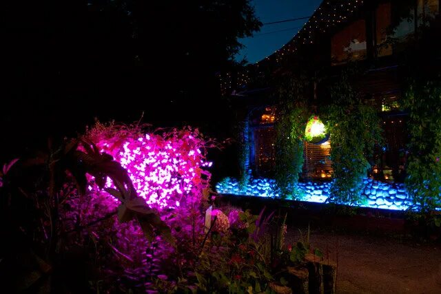 Енот ресторан смоленск. Упитанный енот ново ленинградская ул. Упитанный енот ново ленинградская ул. Упитанный енот смоленск кафе. Енот ресторан смоленск.