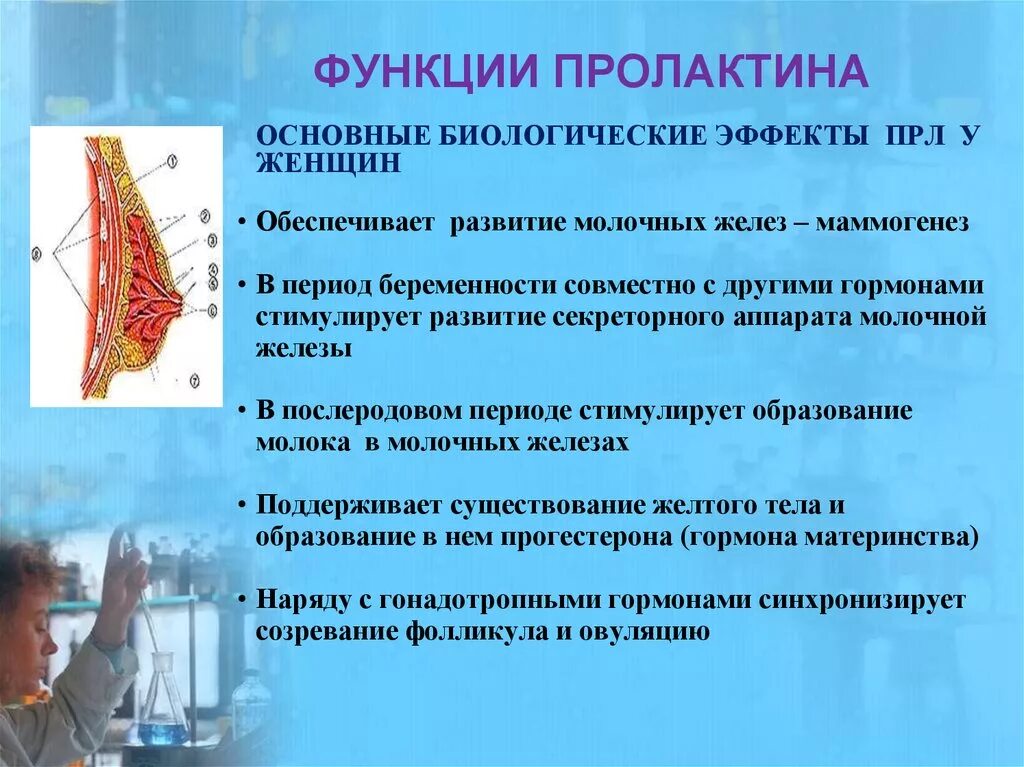 Пролактин функции. Функции пролактина у женщин. Гормон пролактин у женщин функции. Лактогенный гормон функции. Причина гормон пролактин