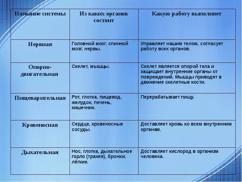 Системы органов человека состав и функции. Какую работу выполняет нервная система. Системы органов человека таблица. Название системы органов 3 класс. Какую работу выполняют органы нервной системы.