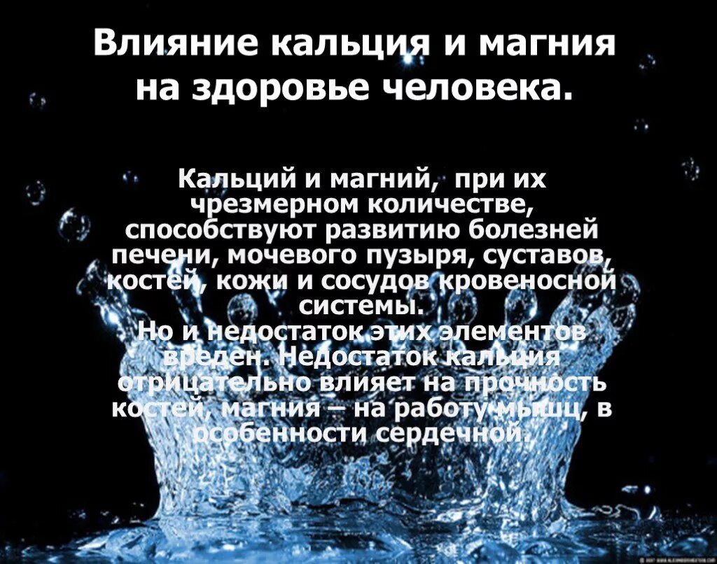 Какое действие кальция. Какое действие кальция