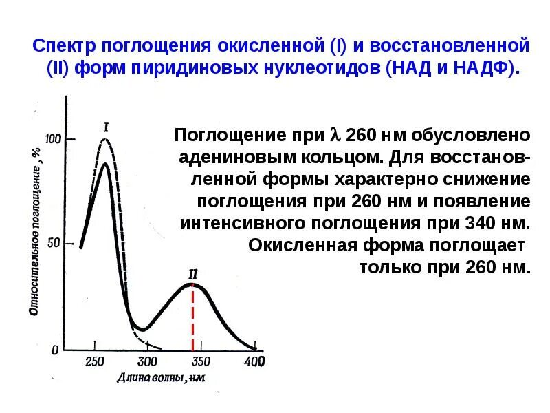 Надф поглощение