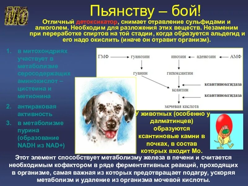 Вещество вызывающее отравление организма