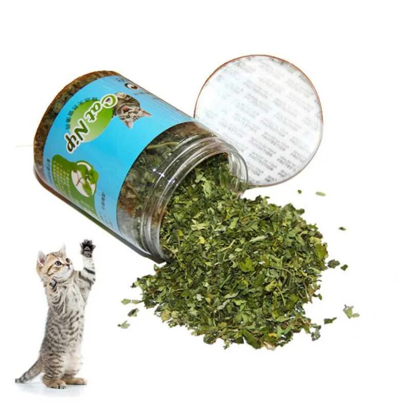 Мята для кошек купить. Catnip Кошачья мята. Кошачья мята 10гр PETSIKI. Травка для котов. Сухая трава для кошек.