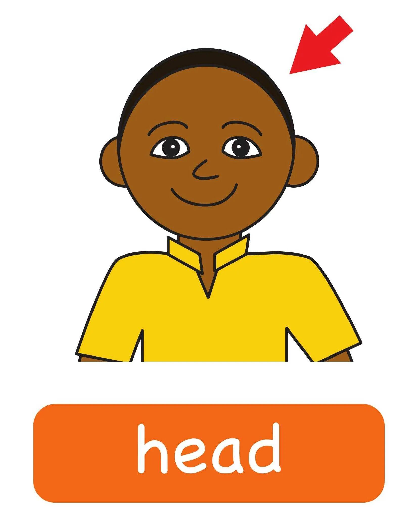 Head на английском. Head для детей. Карточки для английского голова. Head Flashcards for Kids. Small head на русском