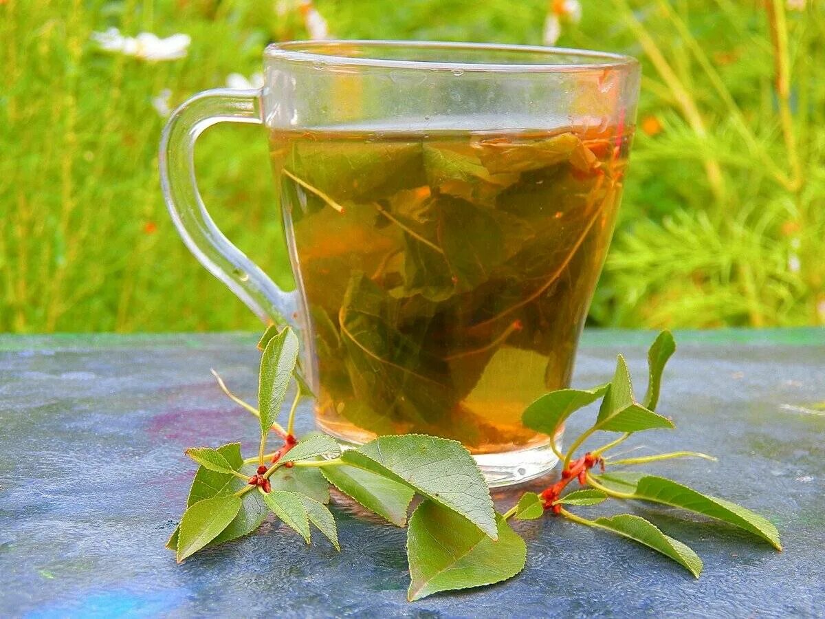 Травяной чай. Травяной отвар. Чай с травами. Витаминный чай из трав.