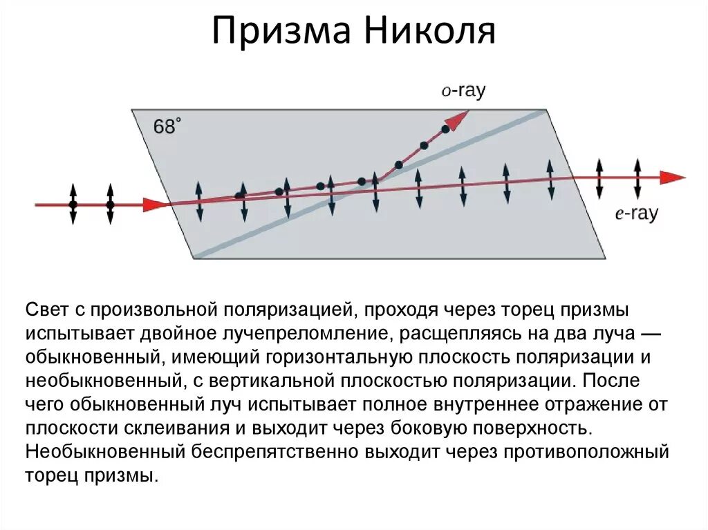 По характеру изменения хода светового луча определите. Призма Николя принцип работы. Опишите принцип работы Призмы Николя. Призма Николя Поляроиды. Главная плоскость Призмы Николя.