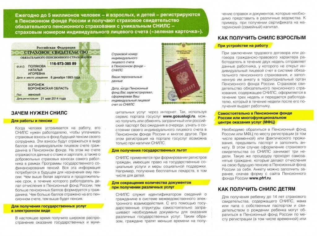 Получить снилс работодателю. Зачем нужен снилс. для чего нужен снилс ребенку. снилс для взрослых и детей. как получить снилс на ребенка.