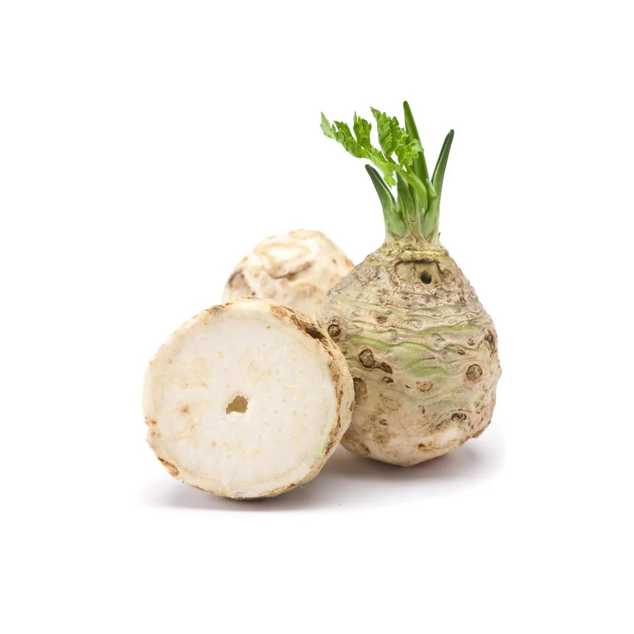 Сельдерей клубневый. Сельдерей клубневой. Сельдерей корневой пражский гигант. Как выглядит корневой сельдерей. Сельдерей черешковый корень.