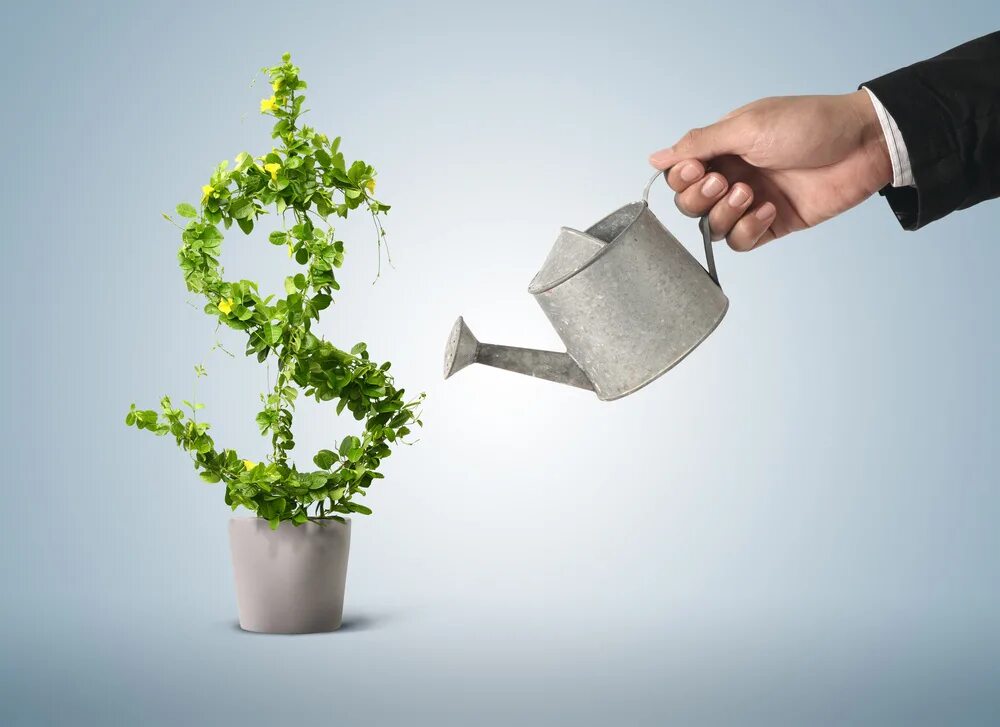 Инвестиции картинки. Инвестиции растут. Креативные идеи для бизнеса. Экология и деньги. Plant company