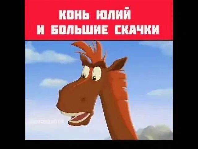 Включи конь большие скачки