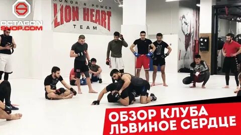 Львиный клуб