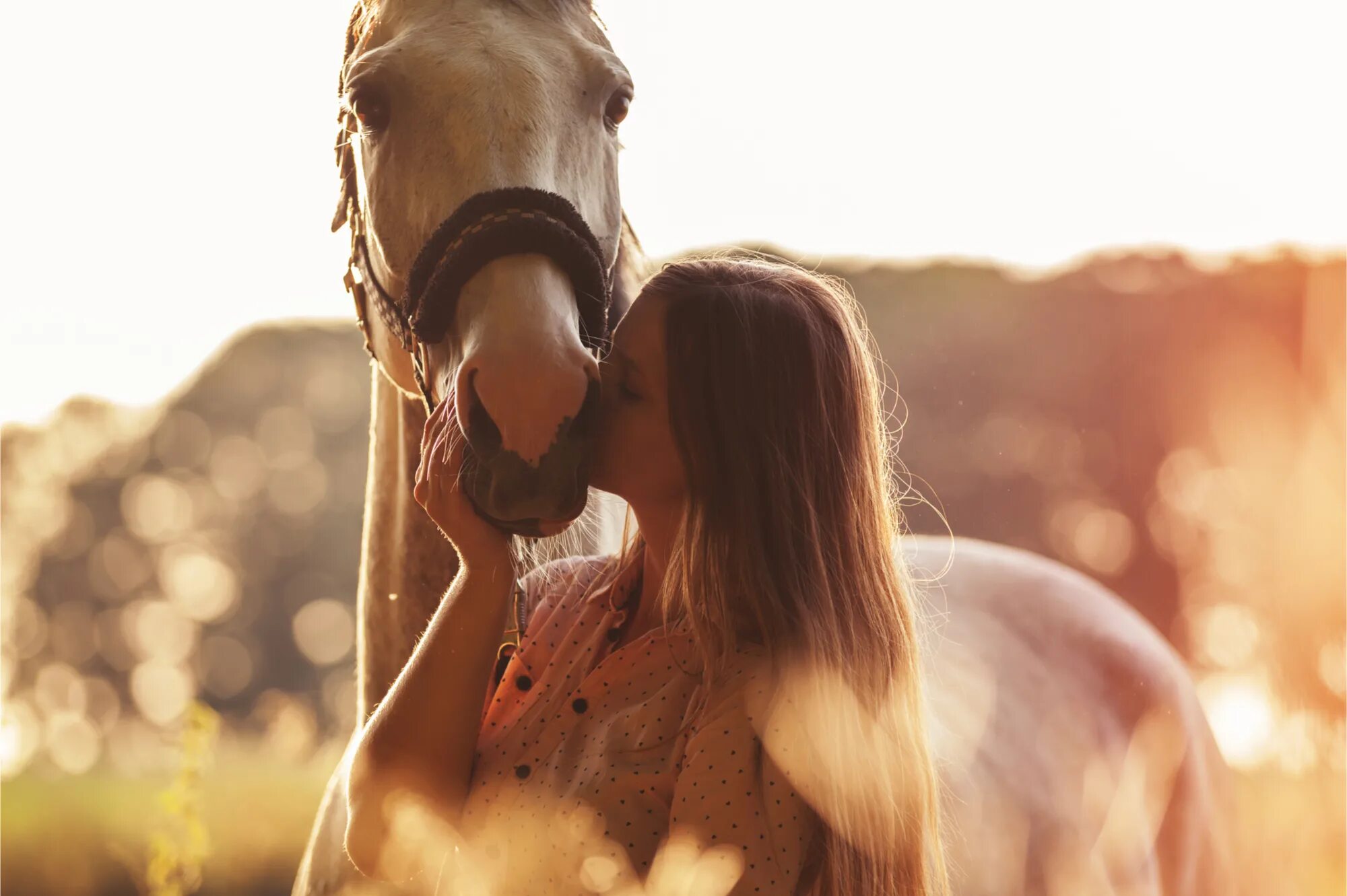 Взаимоотношения лошади и человека. Человек на лошади. Поцелуй лошади. Человек конь. Девушка целует лошадь.