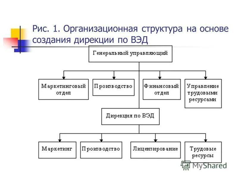 Создание дирекции. Создание дирекции