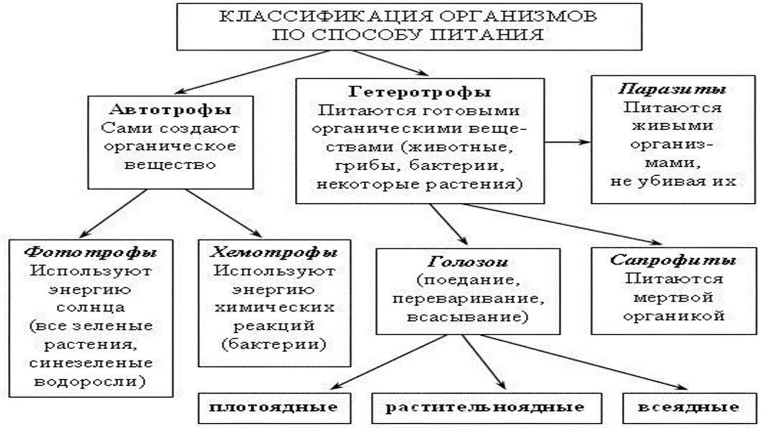 Типы питания живых организмов схема. Схема типы питания клеток. Питание клетки таблица 9 класс. Типы питания схема биология 10 класс.