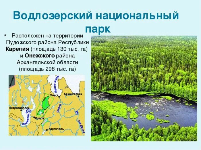 Водлозерский национальный парк Карелия. Водлозерский национальный парк Архангельской области. Водлозерский национальный парк на карте Архангельской области. Водлозерский парк Онега. Водлозерский парк сайт