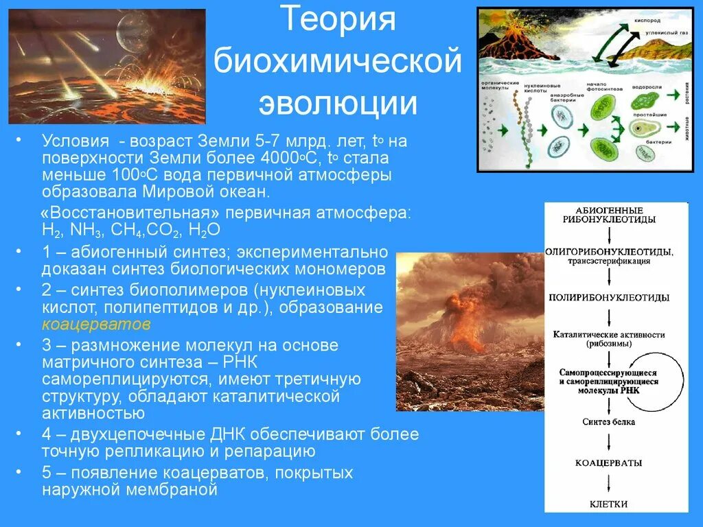 Гипотеза биохимической эволюции опарина. Биохимическая теория происхождения жизни на земле Опарина. Возникновение жизни на земле теория биохимической эволюции. Теория биохимической эволюции Опарина. Этапы биохимической теории Опарина.