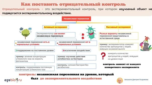 Как поставить отрицательный контроль в эксперименте