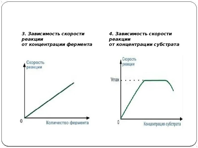 График зависимости скорости реакции от концентрации. 2. зависимость скорости реакции от концентрации. зависимость аналитического сигнала от концентрации. зависимость скорости реакции от концентрации субстрата.