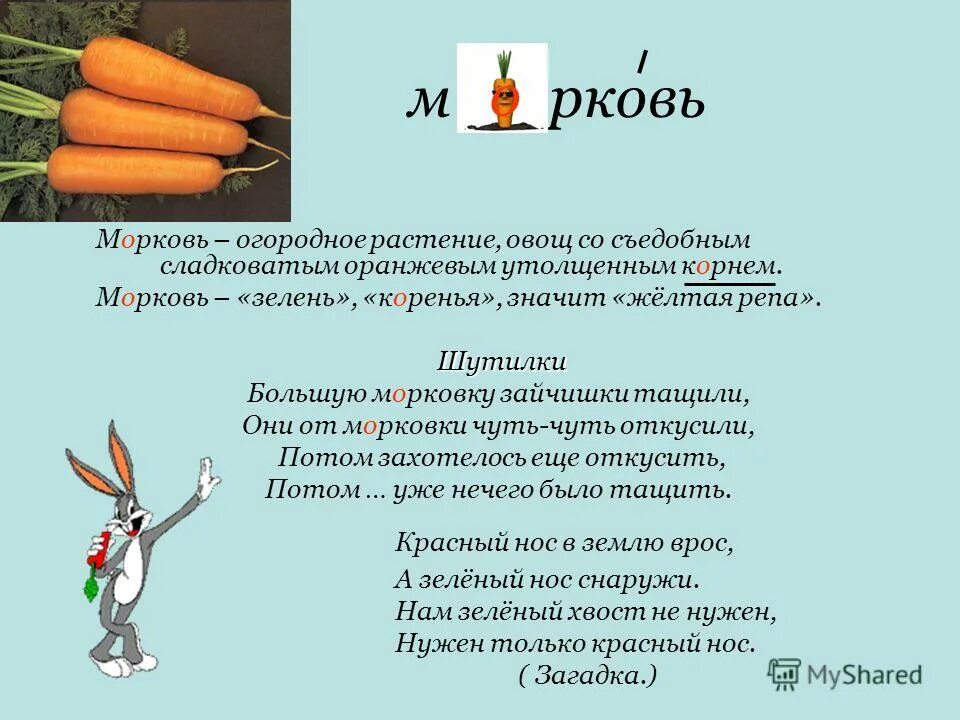 Какой овощ я люблю и почему