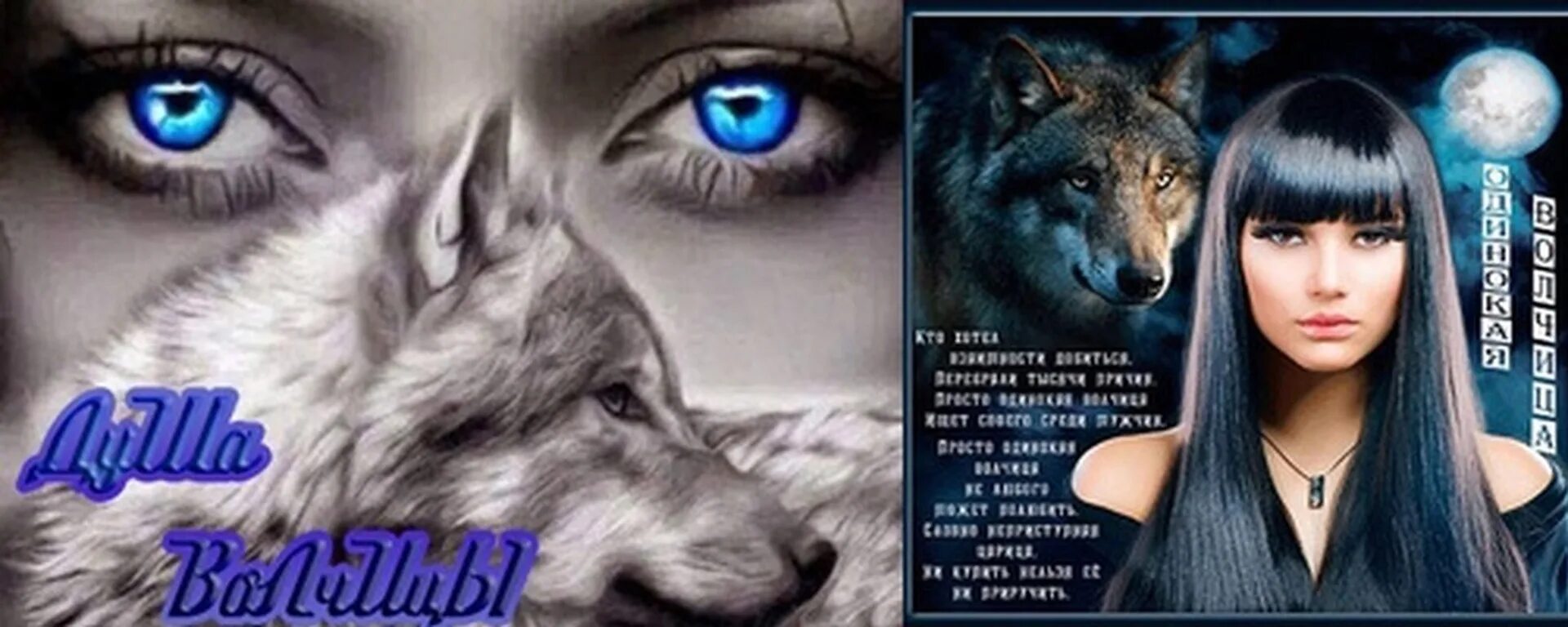 Одинокая волчица читать. Душа волчицы. Волчица обложка.