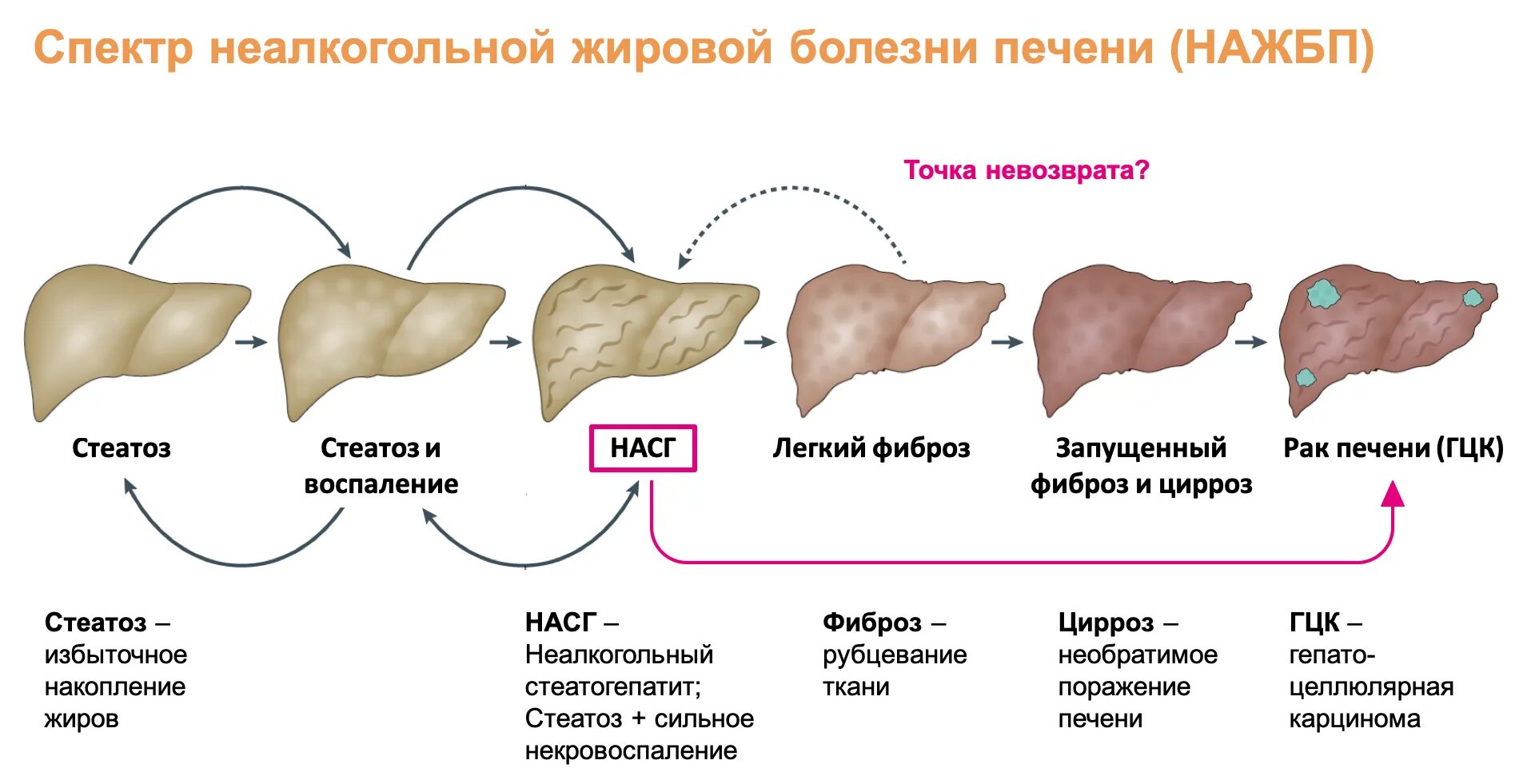 Жировая печень что делать. Жировая печень что делать. Жировой гепатоз печени лечится. Жировой гепатоз (стеатоз) печени. Жировой гепатоз развивается при.