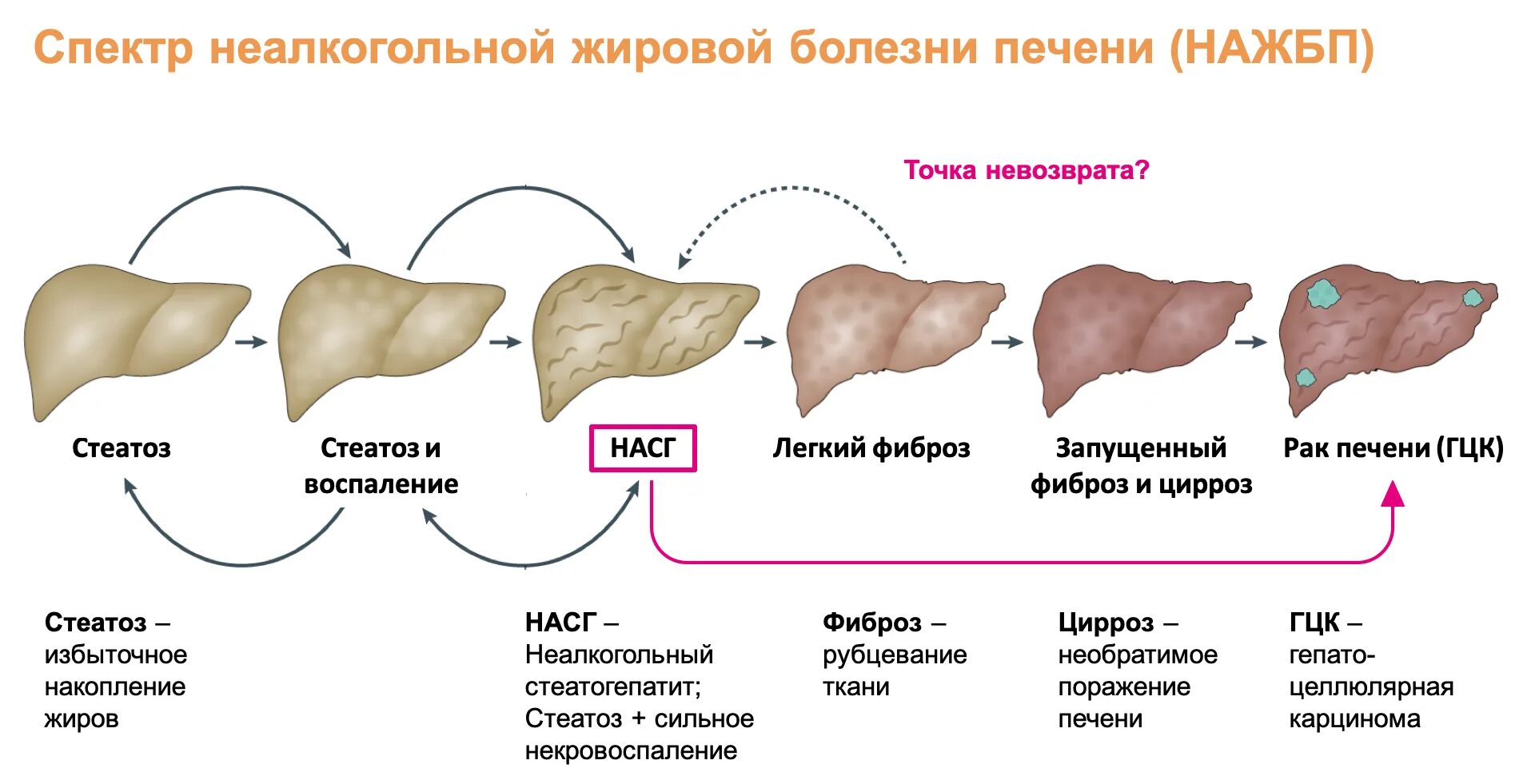 Можно вылечить жировую печень. Неалкогольная жировая болезнь печени стадии. Неалкогольный жировой гепатоз печени. Жировой гепатоз (стеатоз) печени. Этапы заболевания печени.