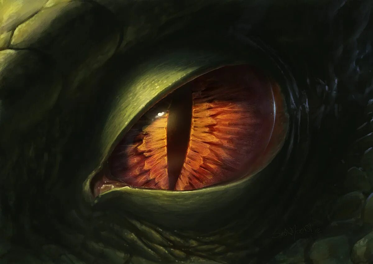 Dragon eye перевод. Глаза дракона (Dragon Eyes). Глаза арт.