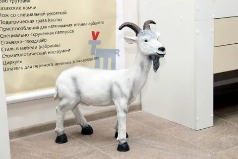 Тверь почему козел