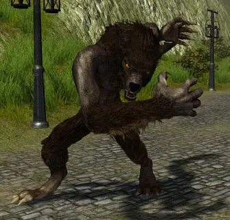 Druid 2