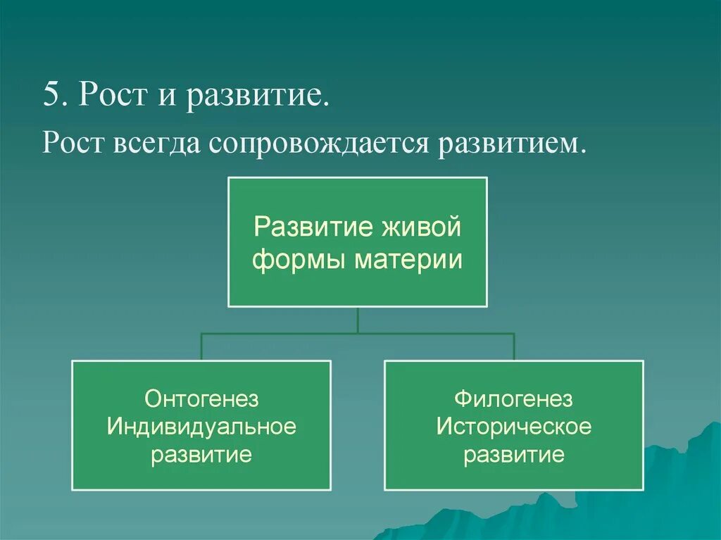 Типы развития живой материи. Рост и развитие. Каким процессом всегда сопровождается развитие живого. Типы развития живой материи 2 типа.