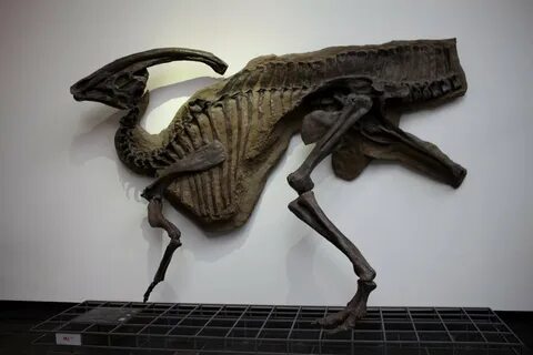 Праисторический