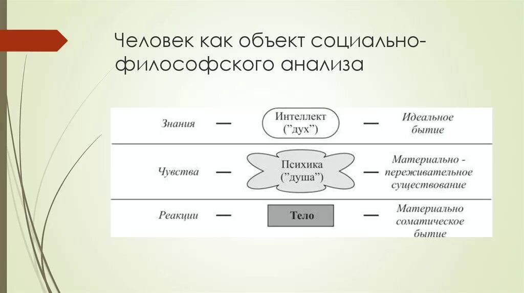 Человек как предмет философского анализа. Человек как объект философского исследования. Общество как предмет философского исследования.. Человек как объект философского знания.