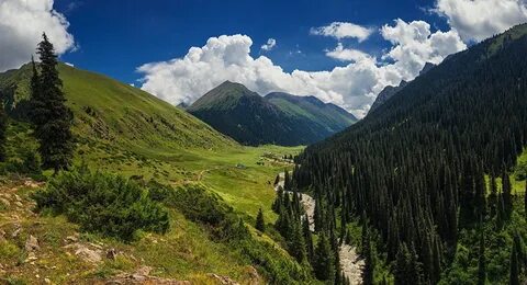 Горные экосистемы