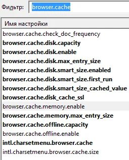 Browser cache