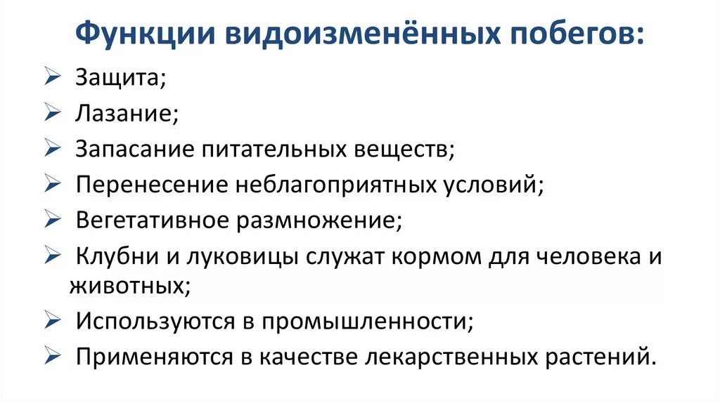 Видоизменения побегов - презентация онлайн