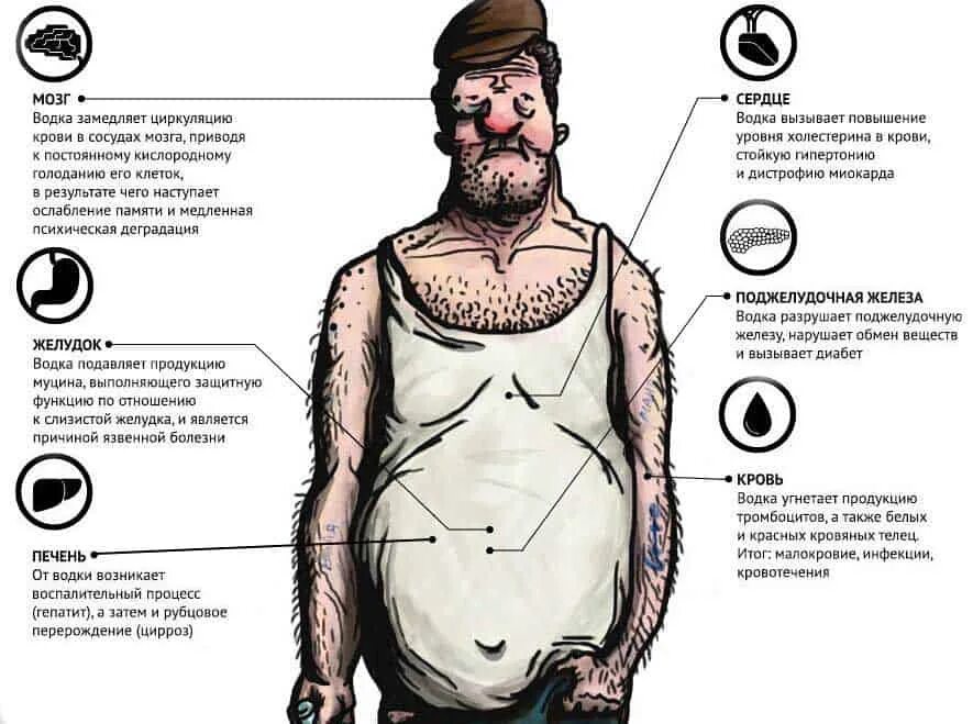Организм пьющего мужчины. Организм человека алкоголика.