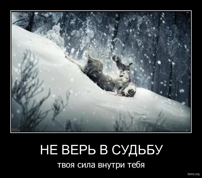 вы верите в судьбу. сынок сила твоя внутри тебя. сила внутри внутри тебя. аму мом цитаты и афоризмы. тяжело быть хорошей девочкой когда внутри тебя живет маньяк.