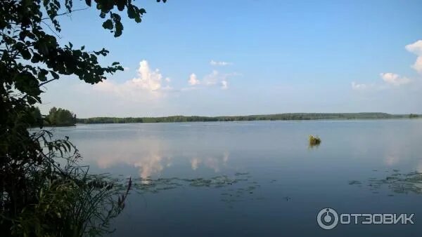 Рыбалка на волге марии эл. Река Волга в Марий Эл. Река Волга Волжск. Дубовая Марий Эл берег Волги. Река Арда Марий Эл.