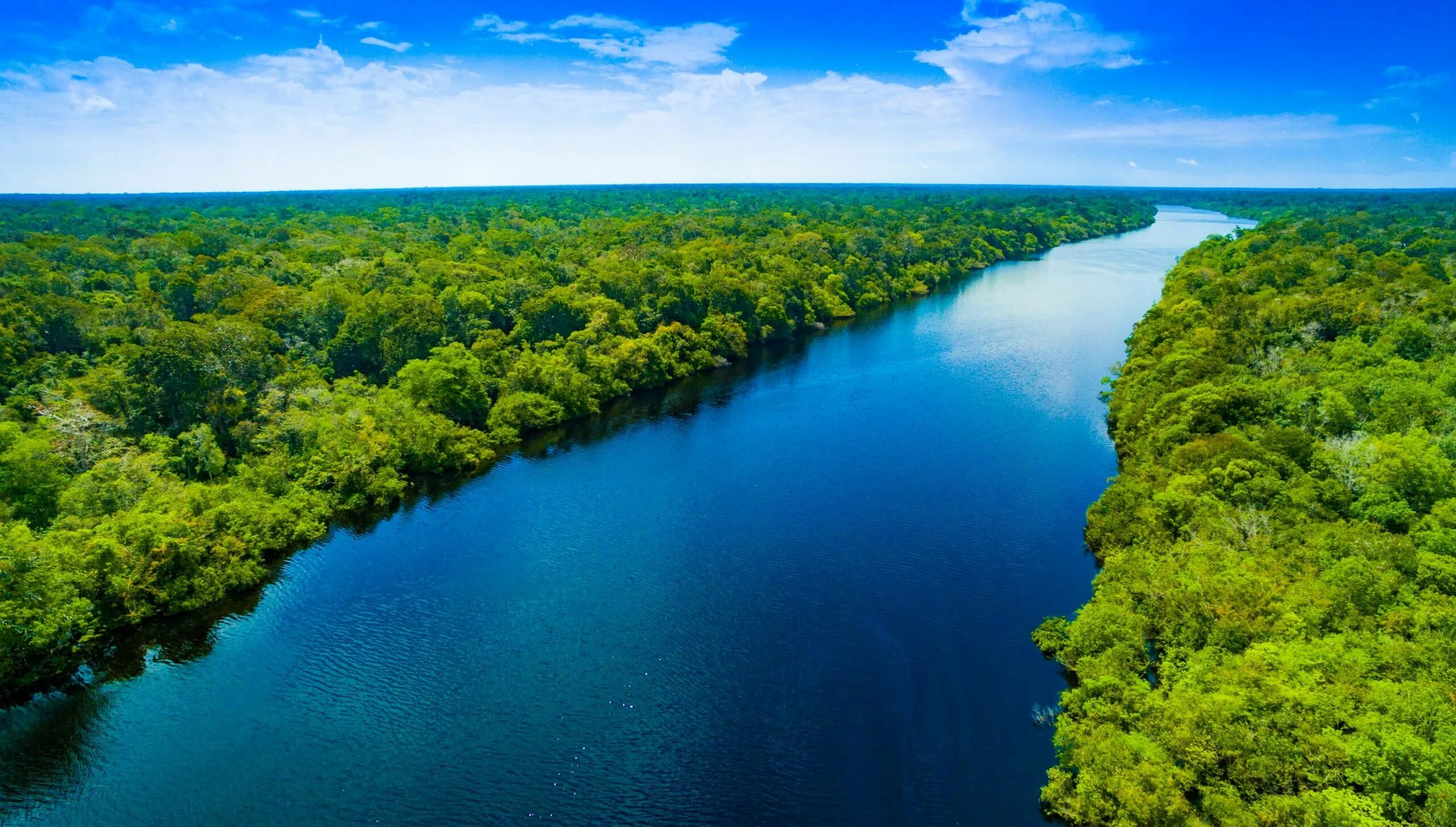 Река Амазонка в Бразилии. Природа Бразилии Амазонка. Река Амазонка фото. Амазония Южная Америка. Реки и озера бразилии 7 класс