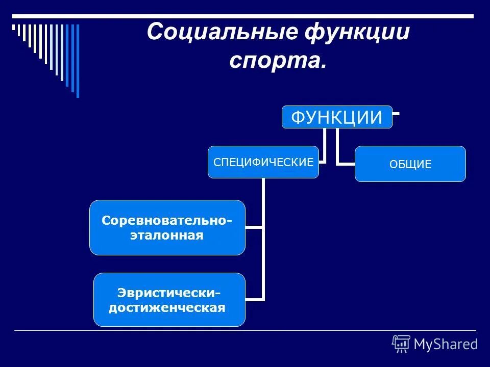 Социальные функции человека