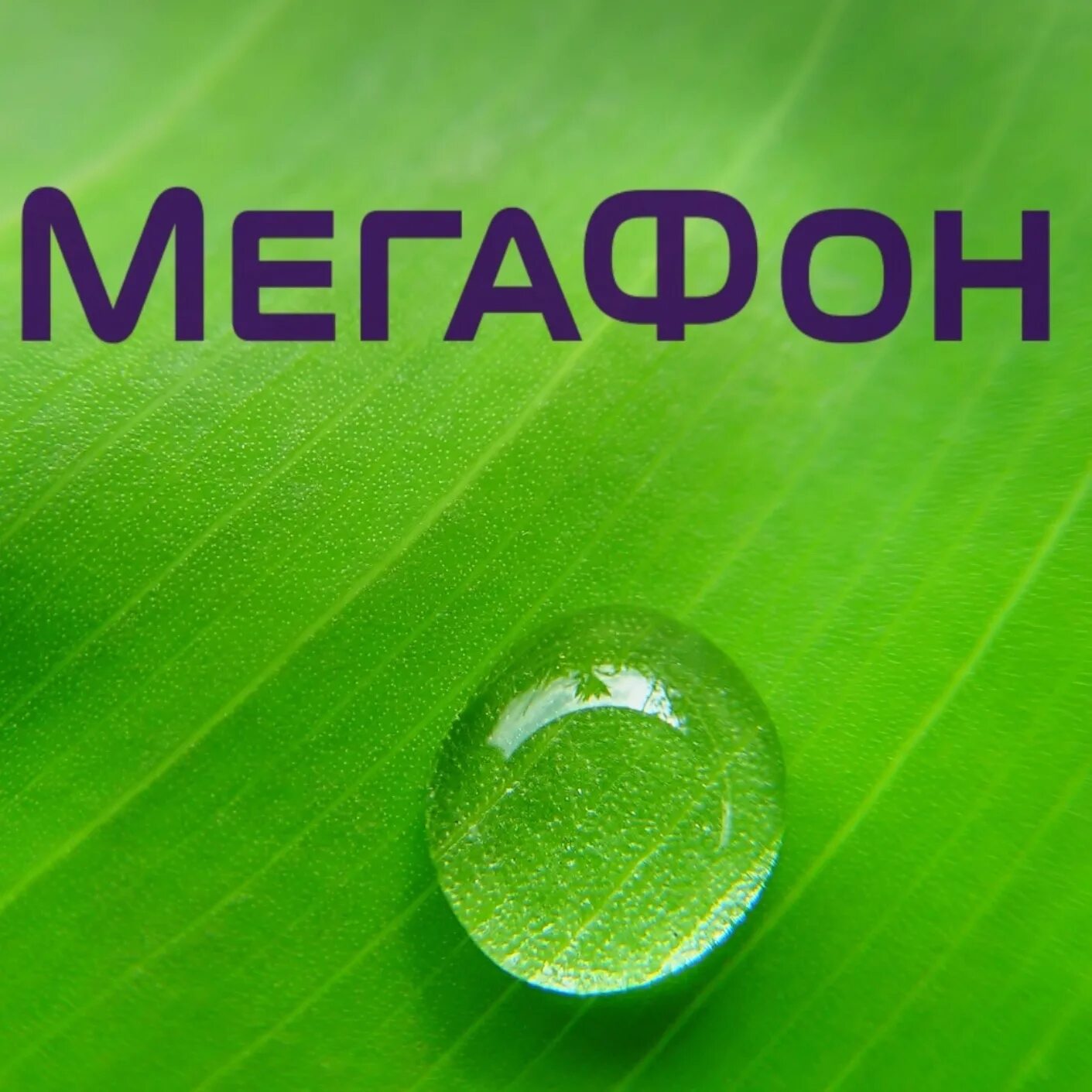 Мегафон википедия. Мегафон. мегафон логотип. сергафан. метафом.