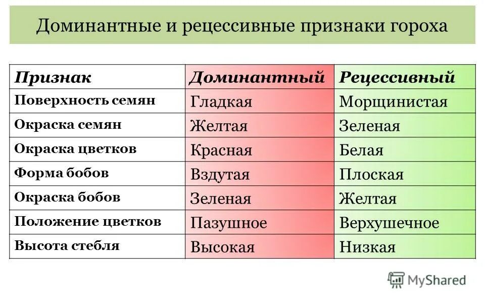 Какой признак называется рецессивным. Доминантные и рецессивные признаки гороха. доминантные признаки гороха. рецессивные признаки гороха. список доминантных и рецессивных признаков.